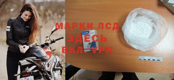 прущие грибы Зеленодольск