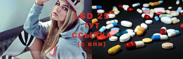 прущие грибы Зеленодольск