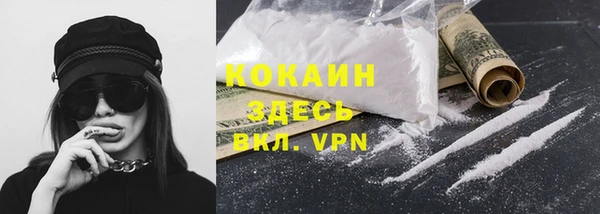 прущие грибы Зеленодольск
