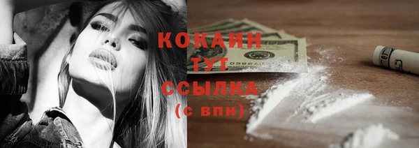 прущие грибы Зеленодольск