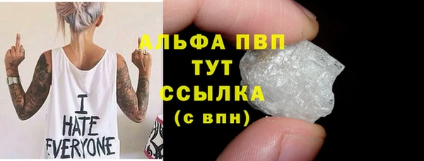 прущие грибы Зеленодольск