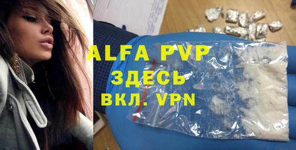 прущие грибы Зеленодольск