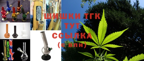 прущие грибы Зеленодольск