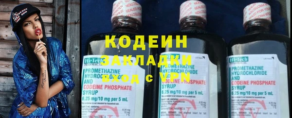 прущие грибы Зеленодольск