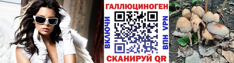 Купить  Шлиссельбург  Псилоцибиновые грибы Psilocybine cubensis 