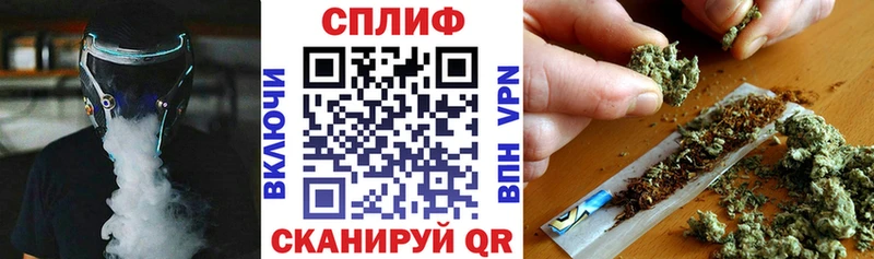 Конопля сатива  Купить  Шлиссельбург 